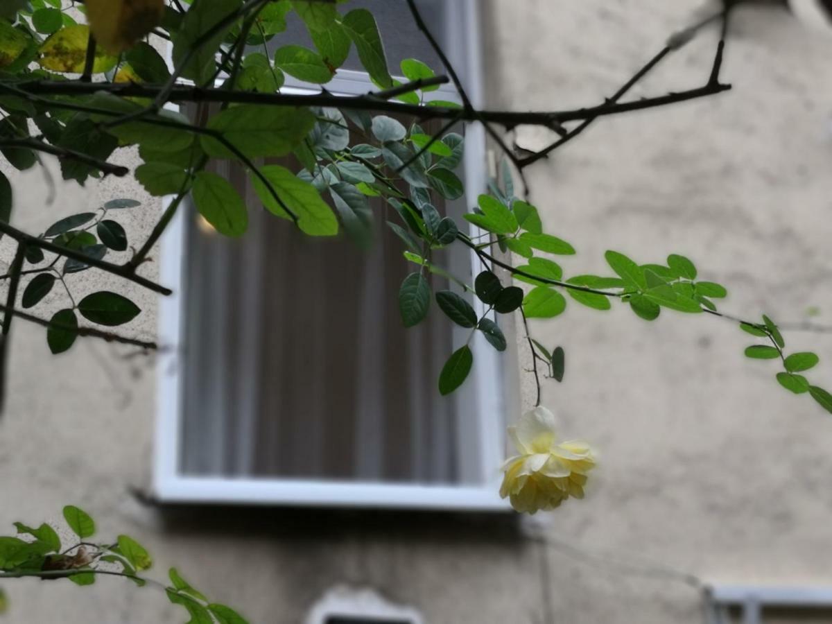 Diamond Residence - Bimbam Bajza Budapeszt Zewnętrze zdjęcie